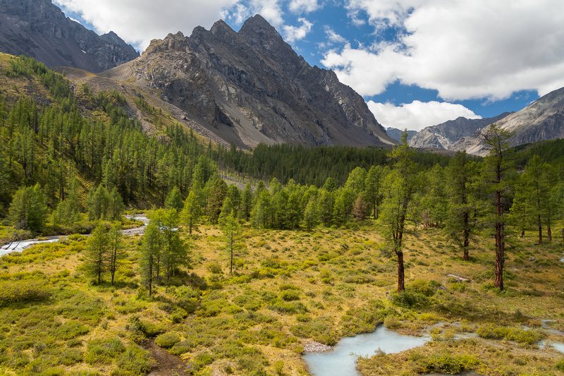 Алтай, Каракабак Долина Каракабакphoto preview