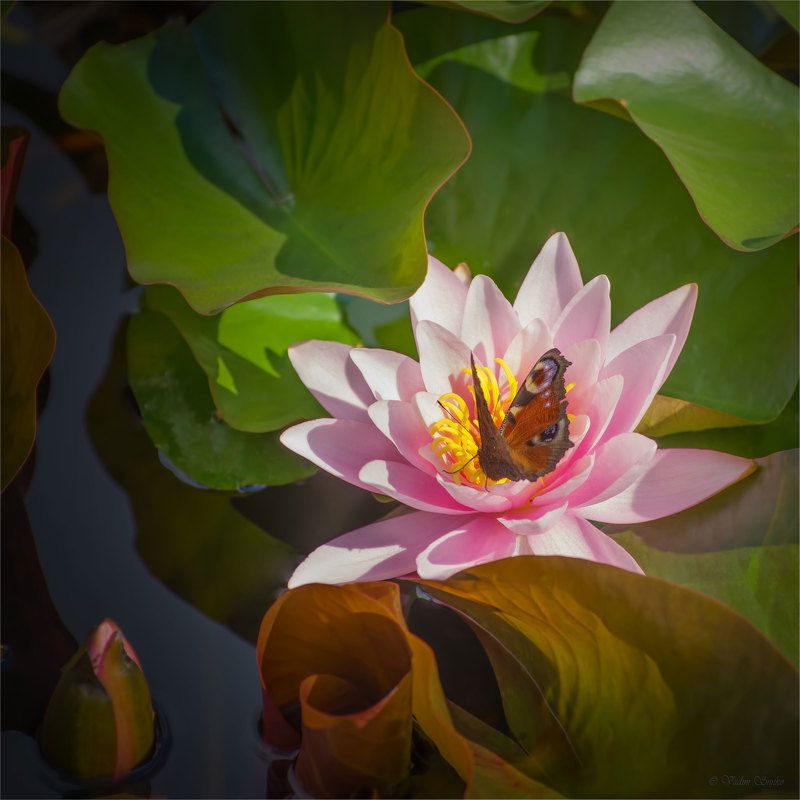 break for lunchphoto preview