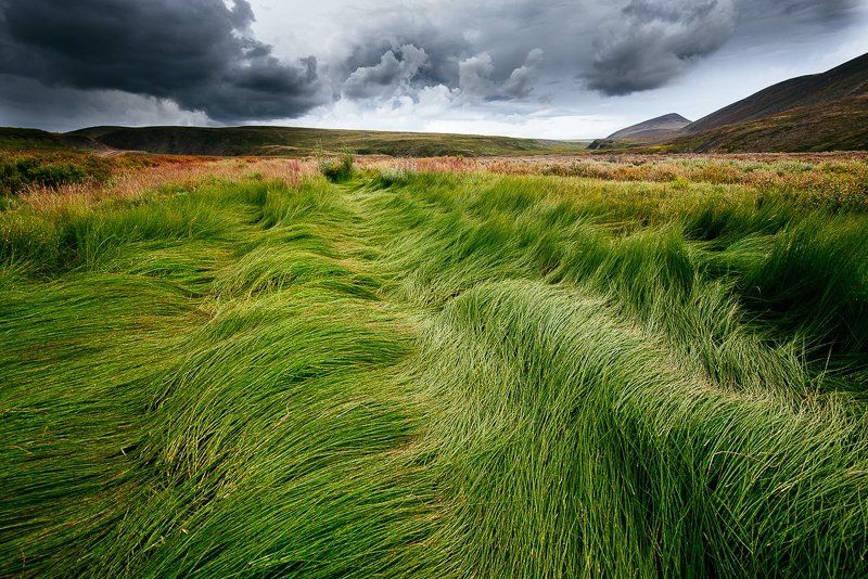 Оленеводы, Стан, Чукотка ***photo preview