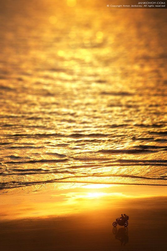 Вкус свободы (Индия, Paradise beach)photo preview