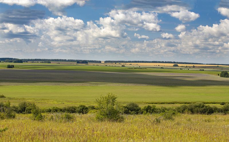 поля, облака, лето, природа Плывут облака над полямиphoto preview