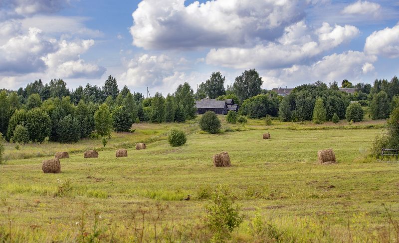 деревня, лето, поле, сенокос, рулоны Деревенское летоphoto preview