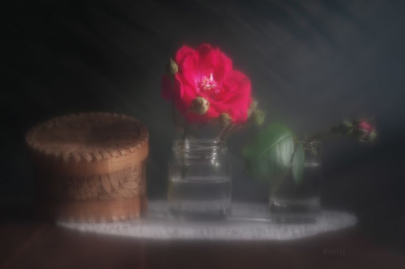 Туманны думы о былом...photo preview