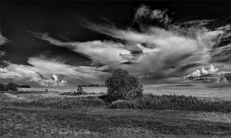 лето, небо, поле, черно-белое, александр никитинский Летний полдень...photo preview