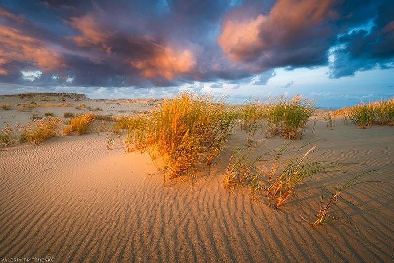 природа, пейзаж, закат, куршская коса, landscape, nature, sunset, evening Вечерние дюны Куршской косыphoto preview