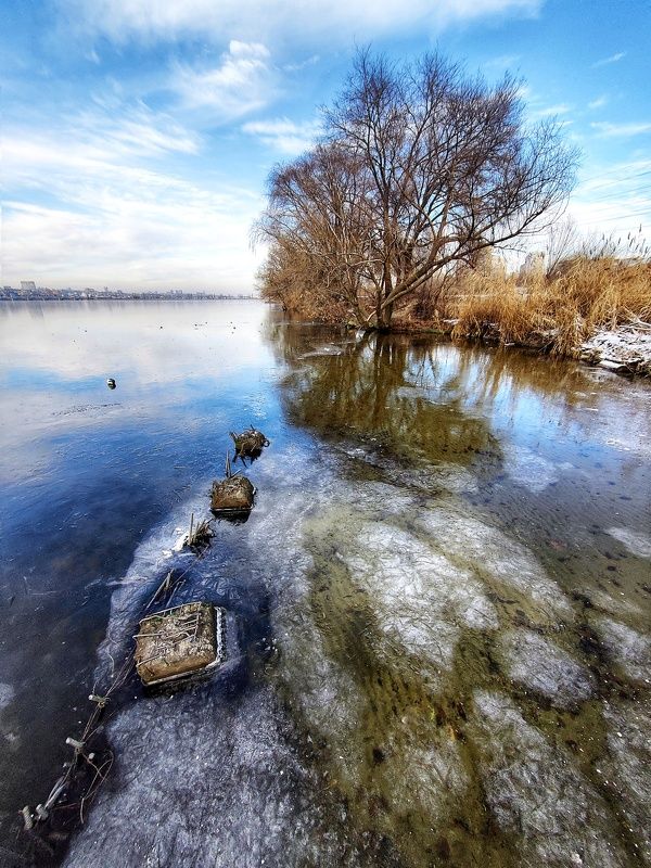 лед, дерево, вода, воронеж Первый ледphoto preview