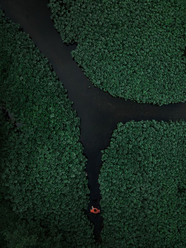 Выбор есть, осталось его сделатьphoto preview