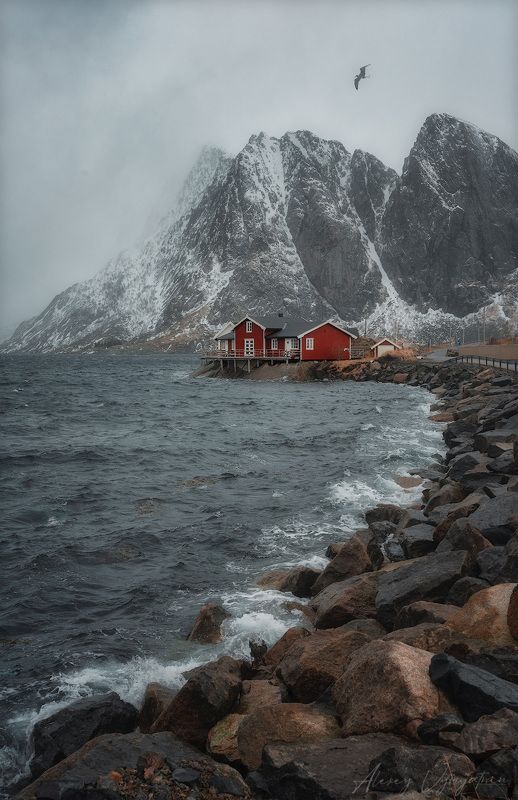 lofoten, landscape, evening, mood, gray, water, norway, photo preview