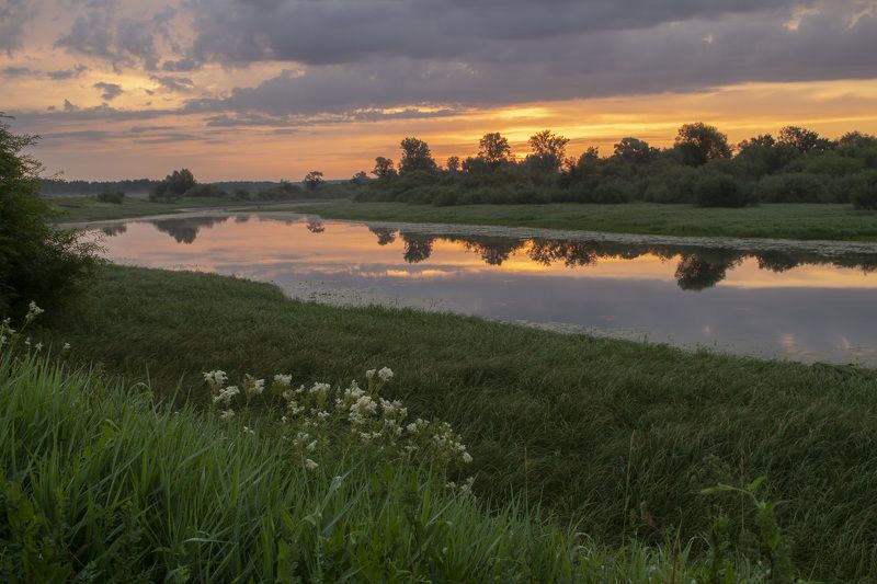 Рассвет, озеро, луг, цветы, отражение, лето, трава, зелень Летний рассветphoto preview