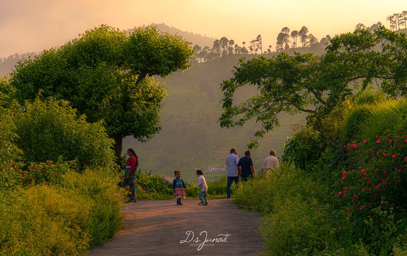 #evening  #evening walk #monsoon #green #village #india monsoon eveningphoto preview