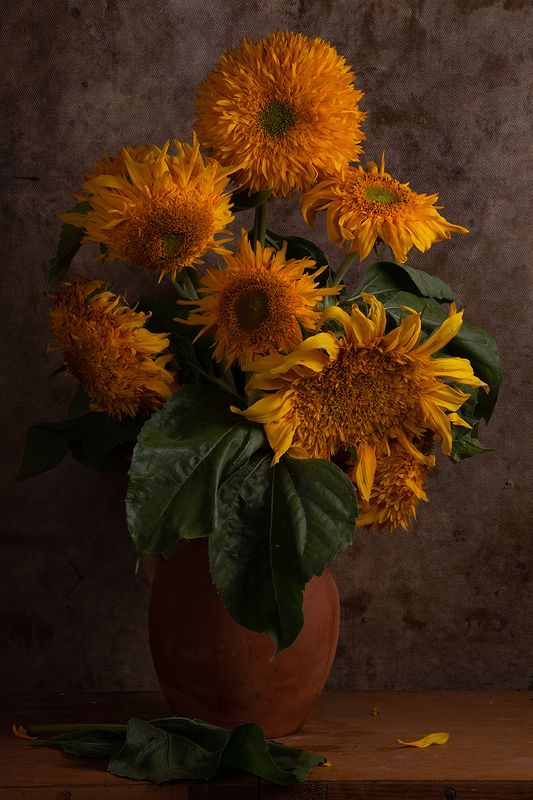 Просто подсолнухиphoto preview