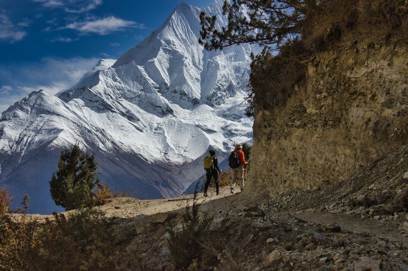 India, Himalayas, Nature, Forest, Adventure, Mountain, Snow, Ice, Journey, Landscape, Clouds, Sky, Travel, Stone, Cold, Pilgrim, Outdoors, Hiking, Uncultivated, Peak, Tibet, altitude, clear, glacier, himalayan, powerful, wild, cliff, famous, high, landmar Annapurna snowcapped peak in the Himalaya mountains, Nepalphoto preview