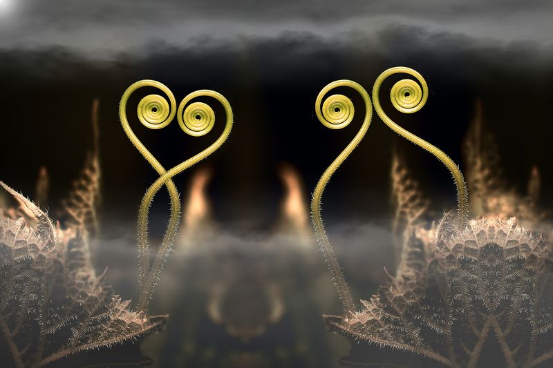 creative, креатив, манипуляция, концепция, абстракция, цифровое, искусство, мгла, туман, abstraction, digitalart, haze, fog Мгла...photo preview