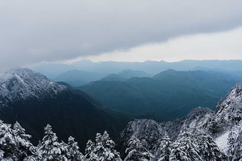 conifer tree, snow-covered tree, icy conifer, winter landscape, green mountains, snow-capped peaks, snowy tree, mountain top view, thick clouds, winter wonderland, resilient tree, snowstorm survivor, majestic mountain scene, frozen landscape, proud mounta Snowy Conifer Peaksphoto preview