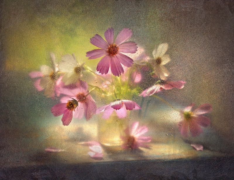 Нежнейшая спутница августаphoto preview