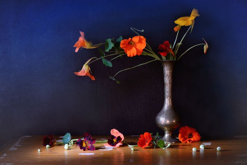 Фламенкоphoto preview