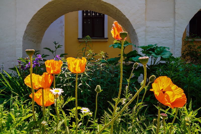 монастырские макиphoto preview