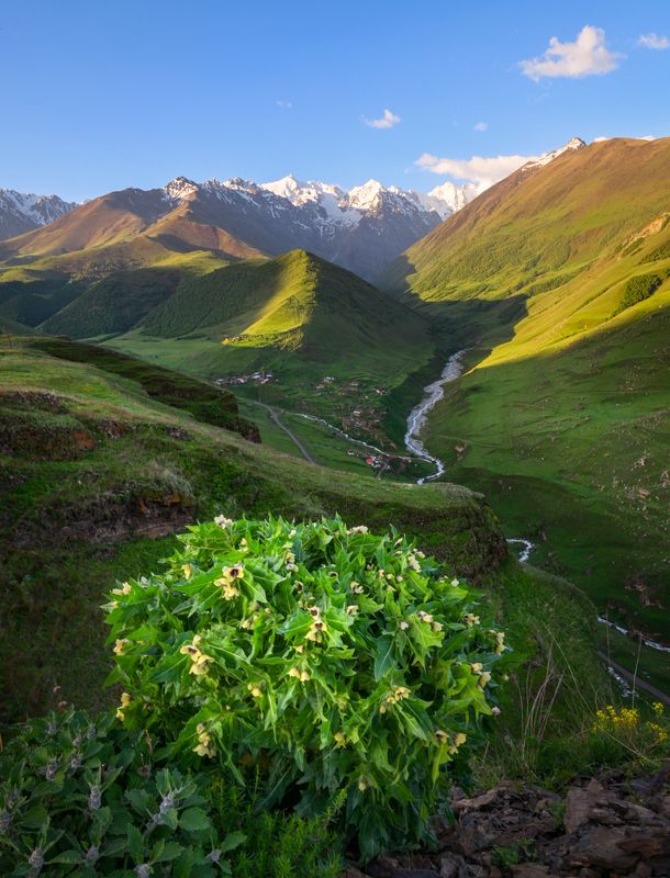 С добрым утром!photo preview