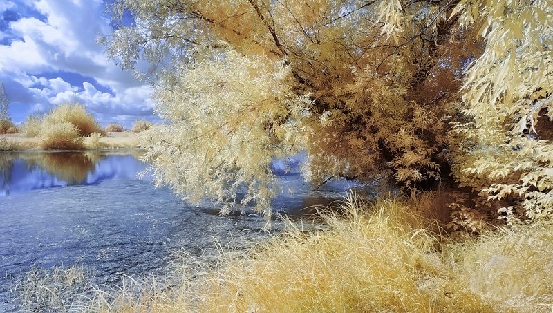 инфракрасная фотография, фильтр, 590nm Летний денёк. фото превью