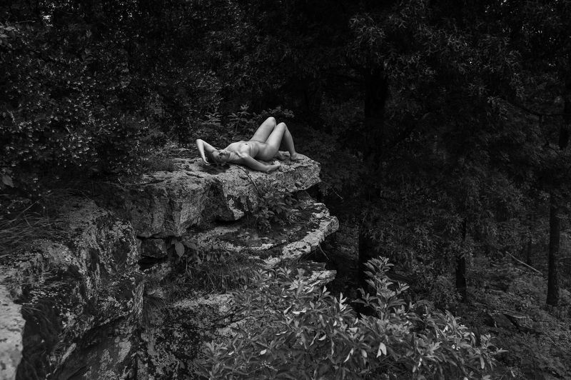 Forest Nymphphoto preview