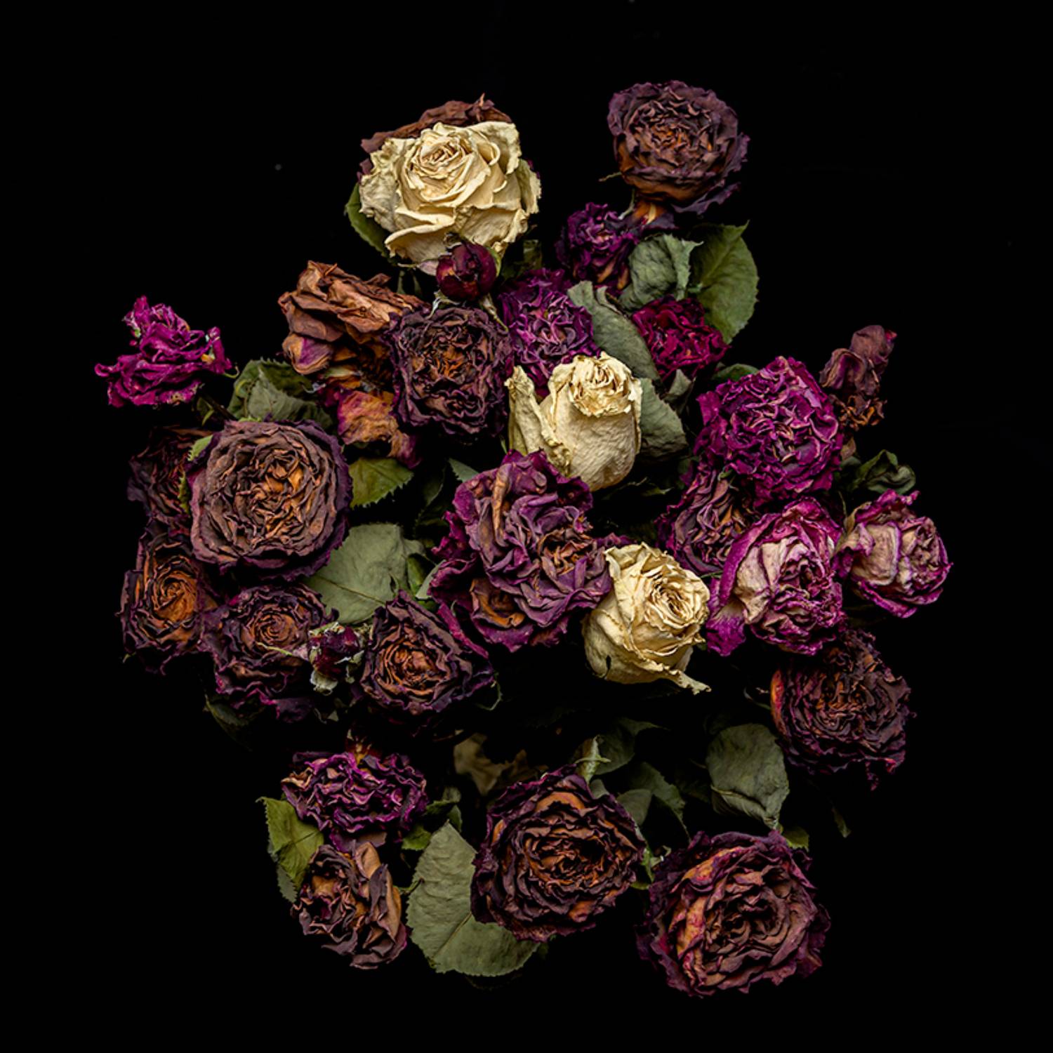 ,  Светослав Радков