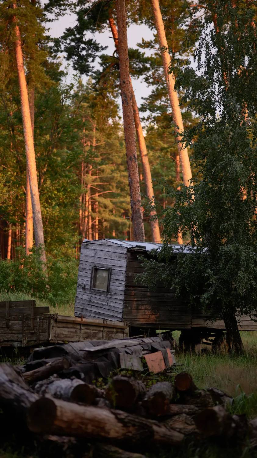 Автор: Франгони Владимир , Франгони Владимир