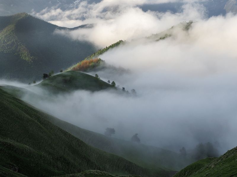 кавказ, ингушетия, большой кавказский хребет, горы, туман Ползут туманы по долинамphoto preview