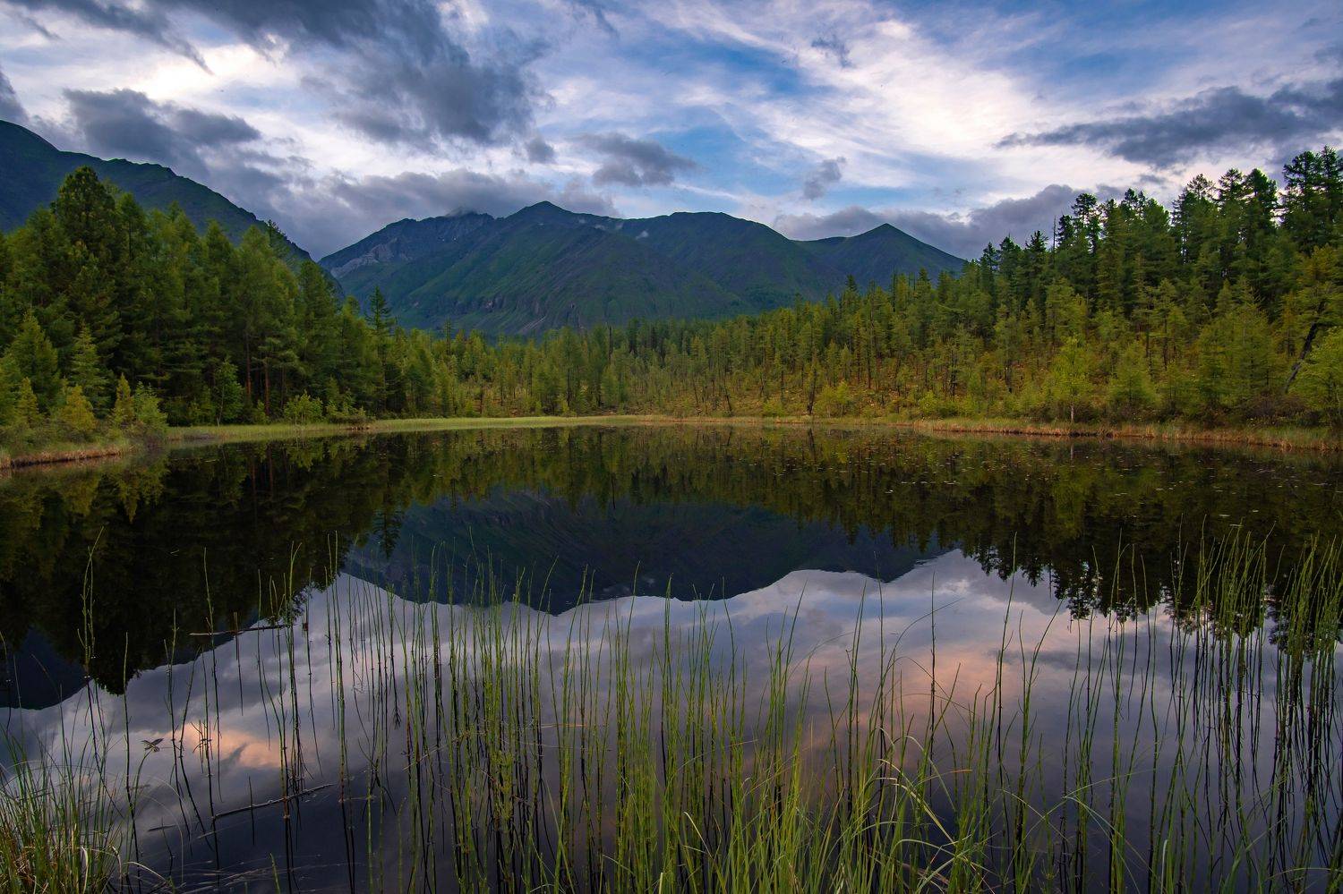 После дождя. Автор: Тильпунов Михаил саяны, бурятия, тункинские гольцы, Тильпунов Михаил