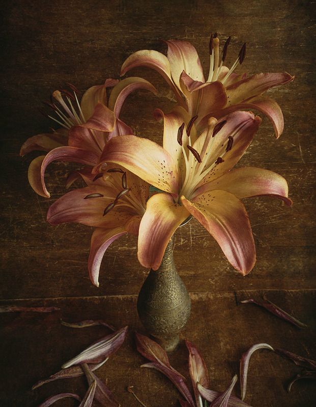 лилии, лилия, цветок, букет, цветение, ваза, дерево, текстура Лилии в индийской вазеphoto preview