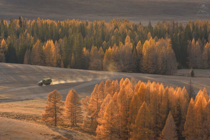 осень, джазатор, алтай, горный алтай, республика алтай, беляши, фототур на алтай, гор, лиственницы Кто в лес, кто по дрова..photo preview