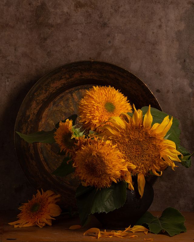 Подсолнухи и старый медный тазphoto preview