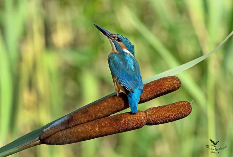 Глядя в небеса.photo preview