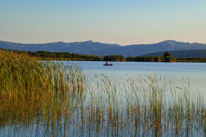 sigma sd quattro . crimea ***** фото превью
