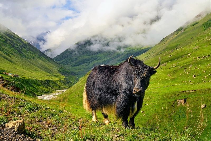 Дух Осетииphoto preview