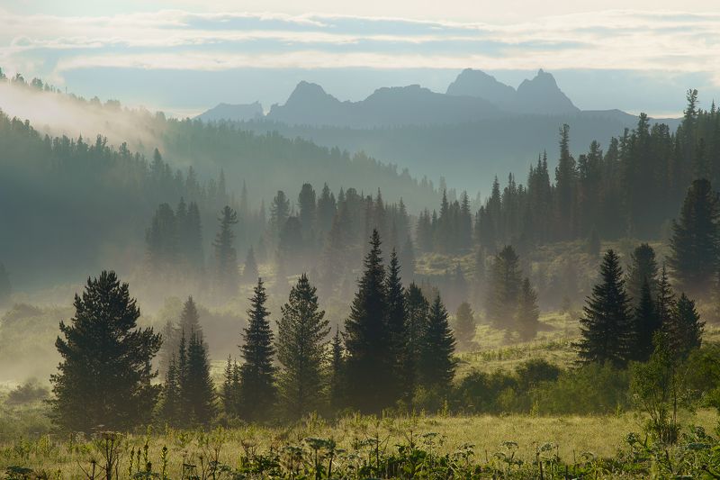 ергаки, красноярские, пейзаж, красиво, лето, туман, август, хайкинг, тревел, туризм Сибирская Швейцарияphoto preview