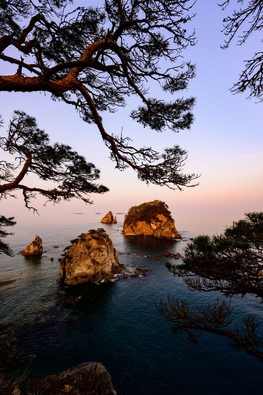 мыс сосновый, полуостров гамова, пейзаж, закат, золотой час Мыс Сосновый, полуостров Гамова-жемчужина Приморьяphoto preview