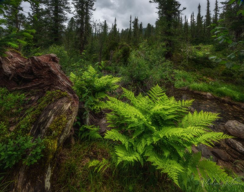 ергаки, саяны В гостях у сказки на Нижней Буйбе. фото превью