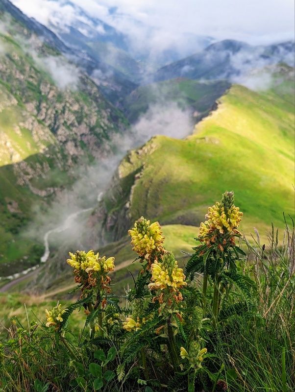 Встречая утроphoto preview