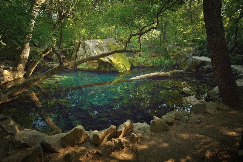 Логово водяногоphoto preview