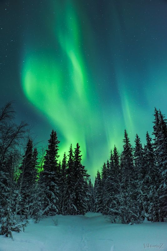 северное сияние, полярное сияние, заполярье, aurora borealis, polar lights photo preview