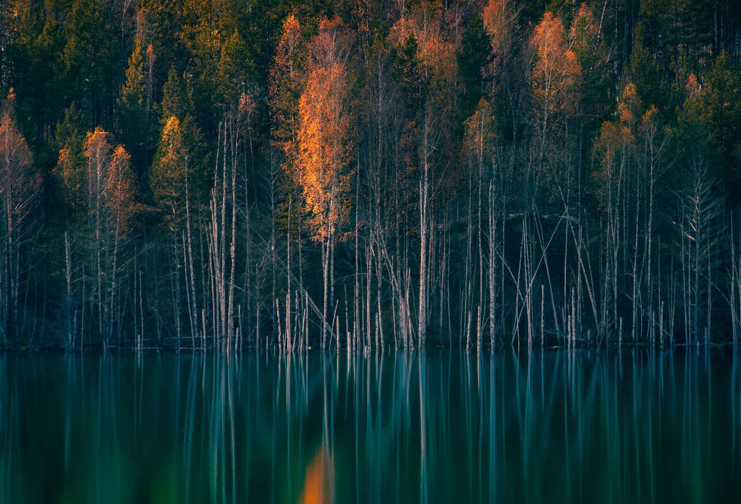 Акварель. Автор: Никифорова Ксения , Никифорова Ксения