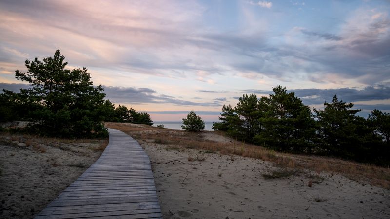 #куршская_коса #вечер #закат Куршская косаphoto preview