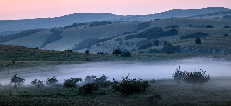 июльphoto preview