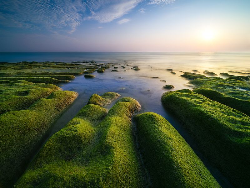 Green Trenchphoto preview