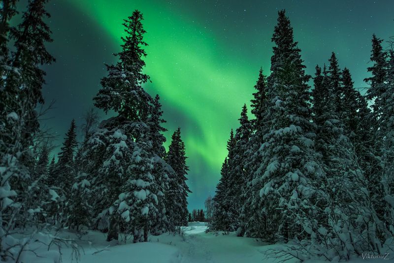 северное сияние, полярное сияние, заполярье, aurora borealis, polar lights photo preview