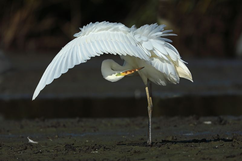 Салон красоты \