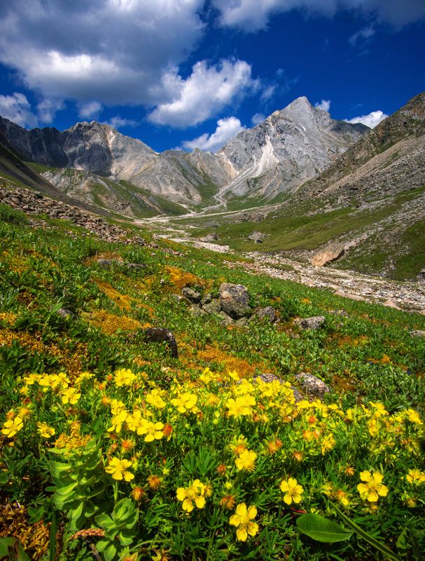 саяны, тункинские гольцы, восточный саян, бурятия Вид на Саянский Маттерхорнphoto preview