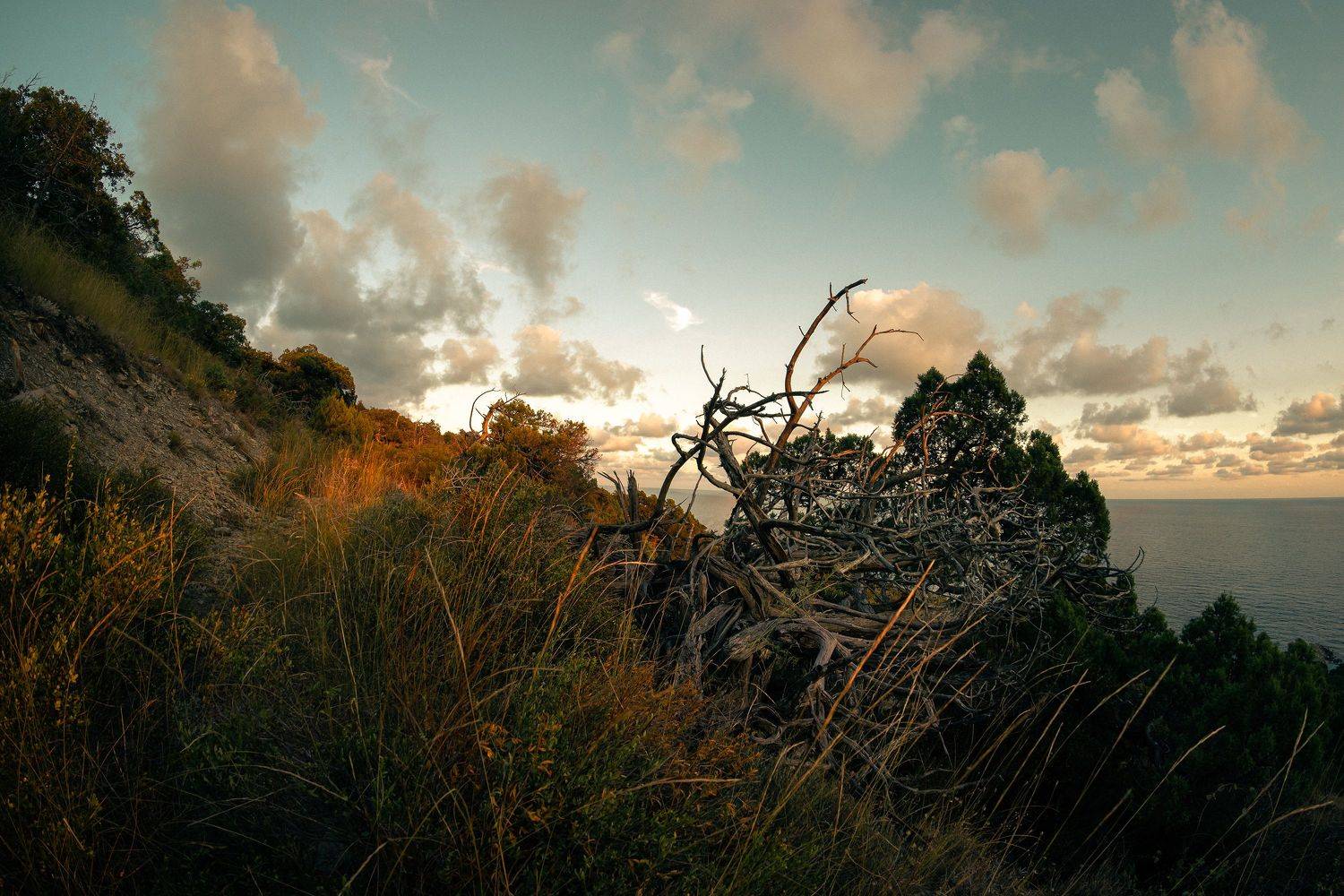, Вадим Коваленко