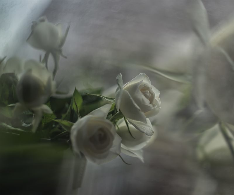 Воскресное дождливое утроphoto preview