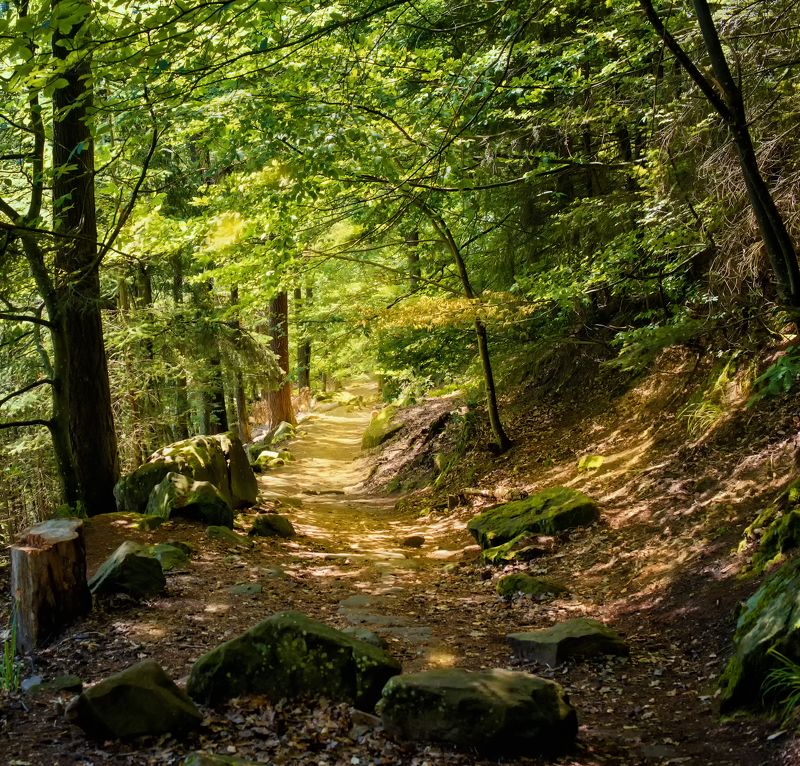 Где то во Франции в горахphoto preview